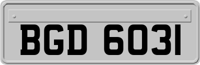 BGD6031
