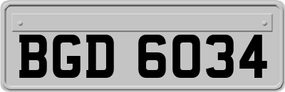 BGD6034
