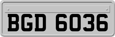 BGD6036