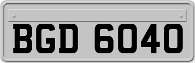 BGD6040