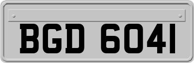 BGD6041