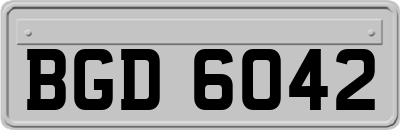 BGD6042