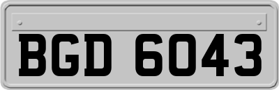 BGD6043