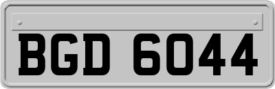 BGD6044