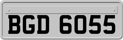 BGD6055