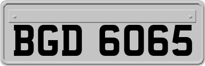 BGD6065