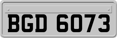 BGD6073