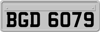 BGD6079