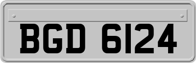 BGD6124