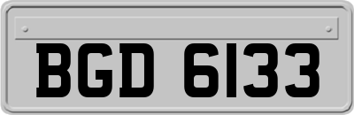BGD6133