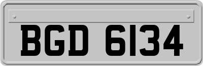 BGD6134