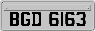 BGD6163