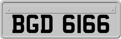 BGD6166