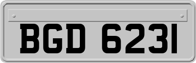 BGD6231