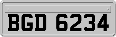 BGD6234