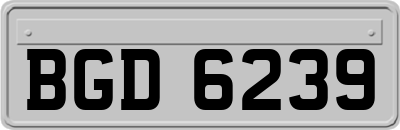 BGD6239