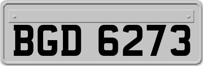 BGD6273