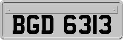 BGD6313