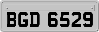 BGD6529