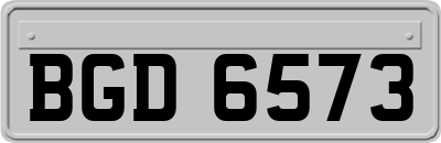 BGD6573