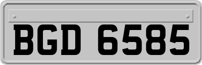BGD6585