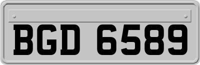BGD6589