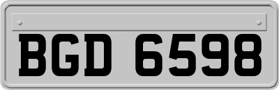 BGD6598