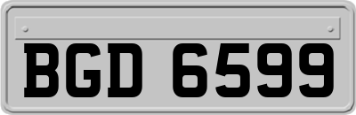 BGD6599