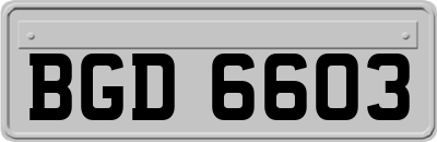 BGD6603