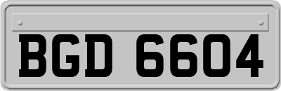 BGD6604