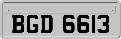 BGD6613