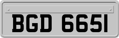 BGD6651