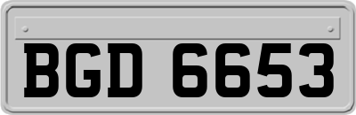 BGD6653