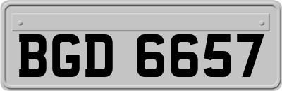 BGD6657