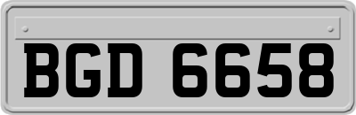 BGD6658