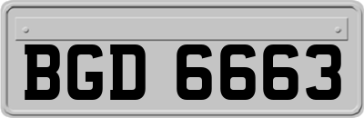 BGD6663