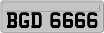 BGD6666