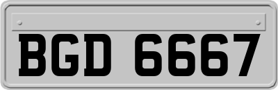 BGD6667