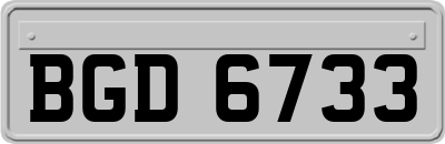 BGD6733