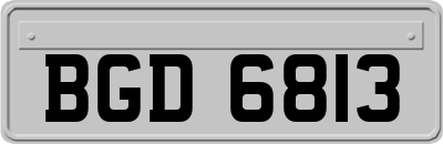 BGD6813