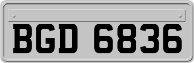 BGD6836