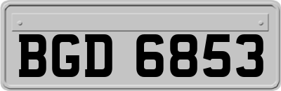 BGD6853