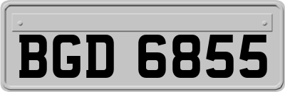 BGD6855