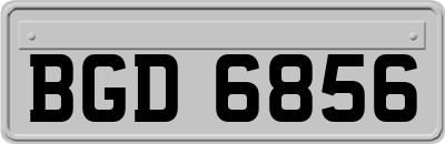 BGD6856
