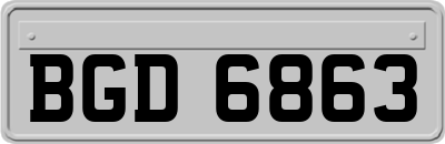 BGD6863