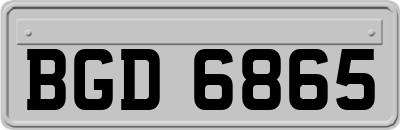 BGD6865