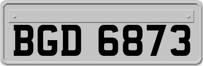 BGD6873