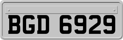 BGD6929