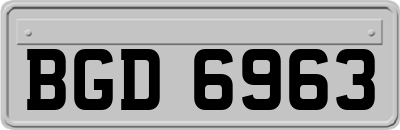 BGD6963