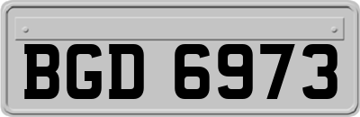 BGD6973
